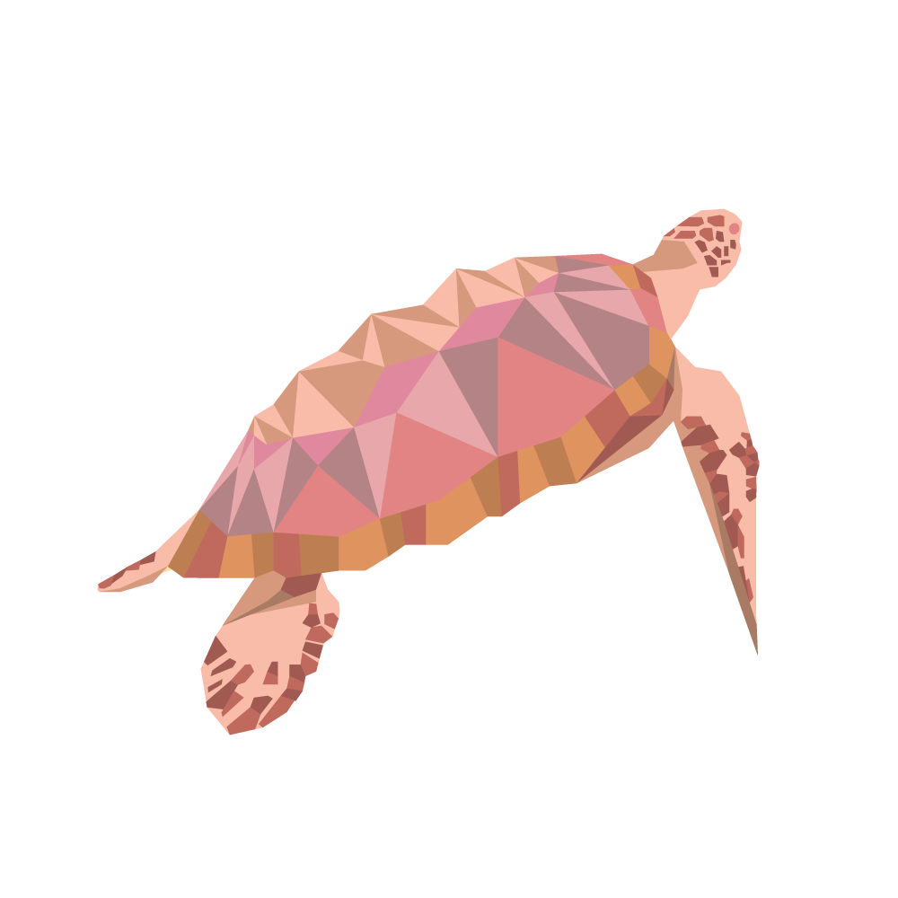 Schildi – das Maskottchen der Hautpraxis Hohertz